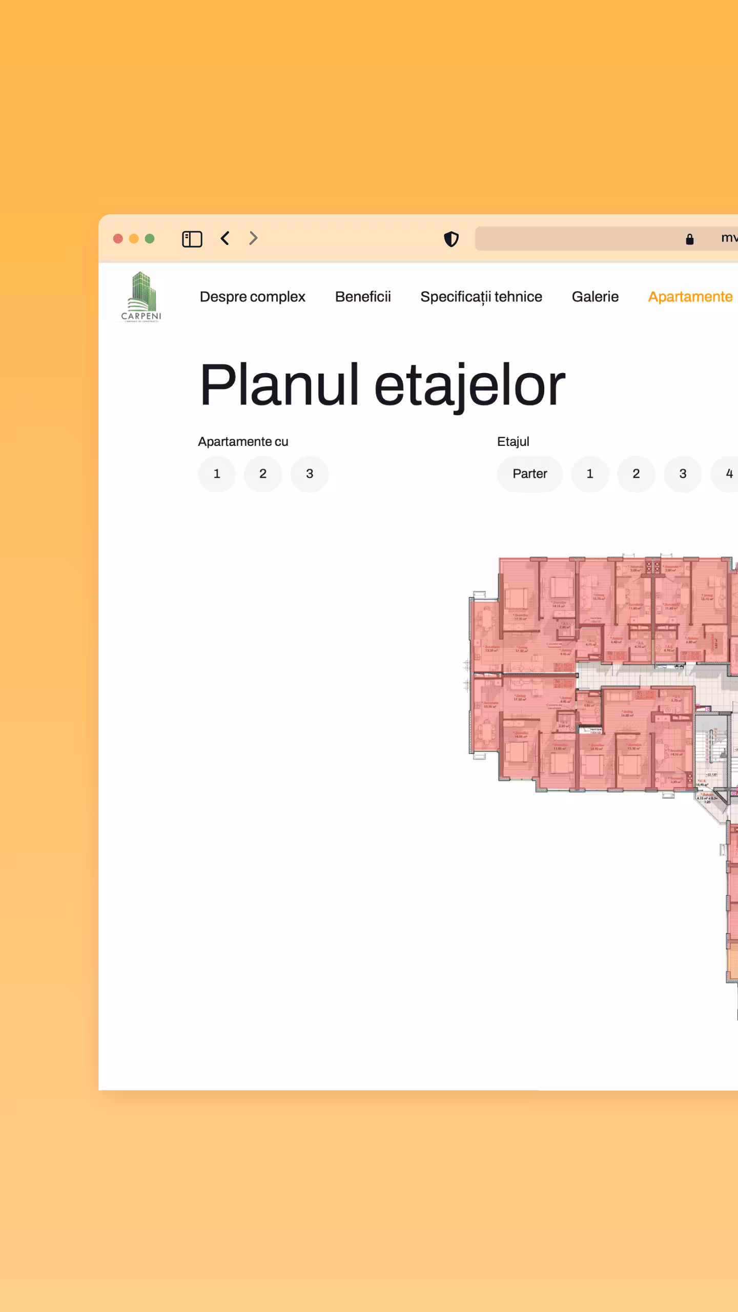 carpeni project screenshot