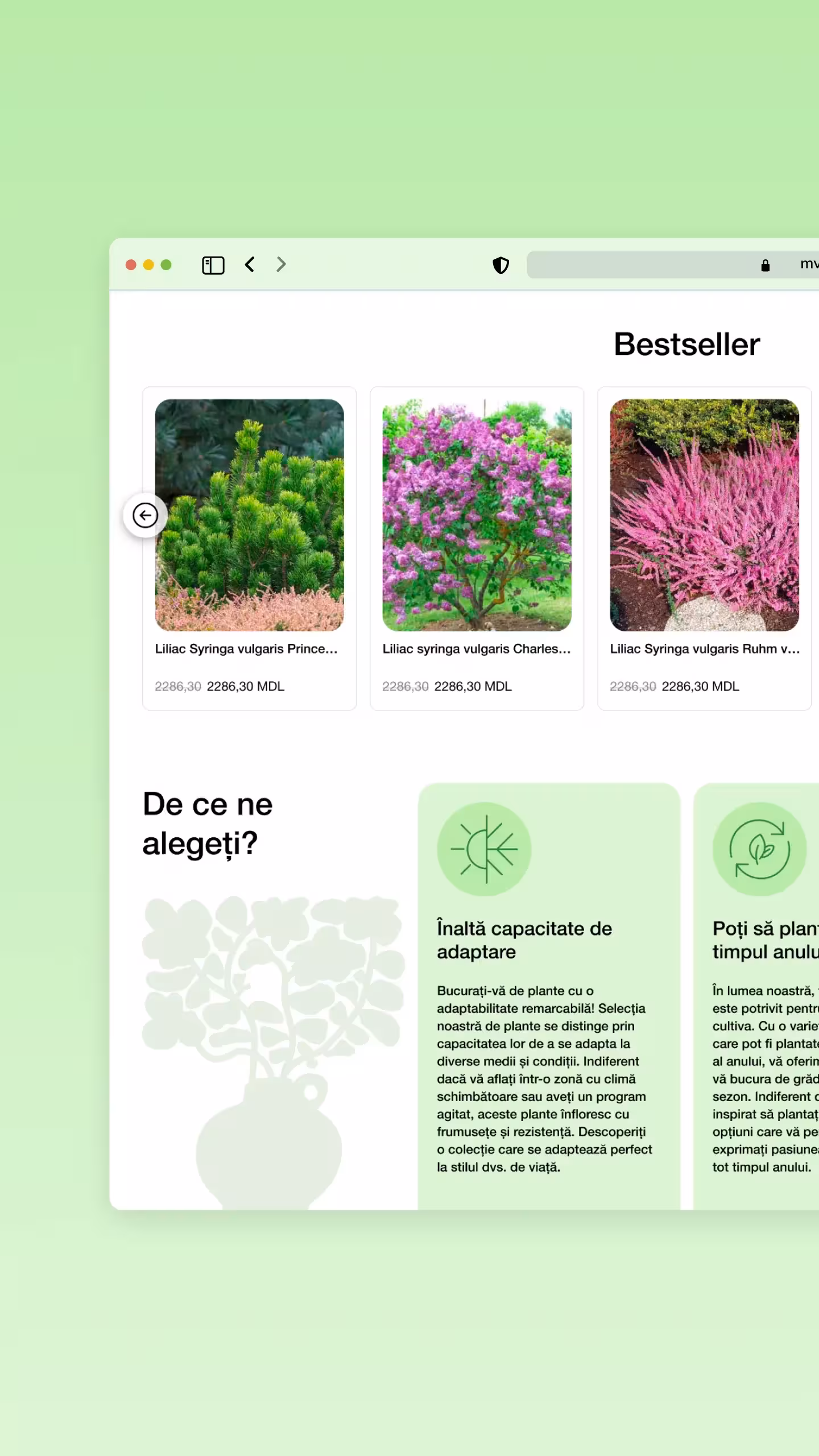gradina-mea project screenshot